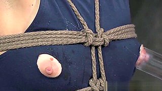 Roped up tit punished sub ball gagged