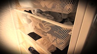 GRWM - hot German babe morning routine