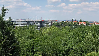 Life Porn Stories 11 - Part 5 Selfie with a Cock