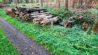 Bare Naked Tits Punished on Hiking Way