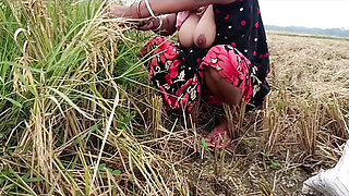 pee of the village in outdoor field of paddy cutting nomita boud