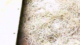 Big Titty Brunette Babes in Hardcore Anal Fun