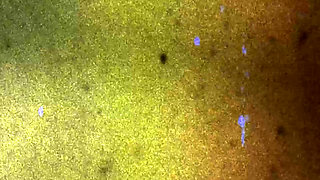 BOBSTGIRLS - Daniela Chanel Make A Moves So Desirable