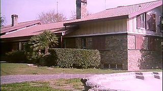 Hot hairy babes ass fucked in orgy