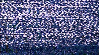 Foursome XXX with Group Sex Babes