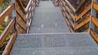 Slutty redhead gives a nice blowjob to an older guy outdoor and takes his cum in her mouth