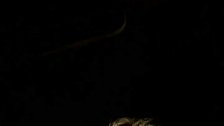 Stream Started Hello Friends