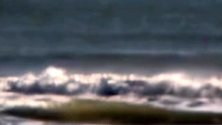 Group Sex and Hardcore Fucking Parties