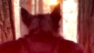 Sexy Monster dance to you