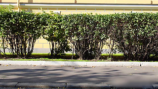 Incredible Anal Video with a Skinny Gymnast