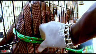 Mr Marcus: Kiara Marie Chubby Blonde Big Tits Fucked by Big Black Cock Mr Marcus in Cage Cumshot