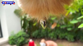 Curvy Beauty's Wild Passion in Sensual Lingerie Heat