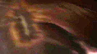 Freeuse Part 3 Ends in Creampie