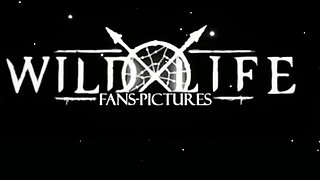 DON'T TELL DAD Official Trailer