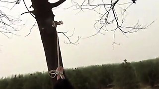 Her ass merciless flogged in countryside