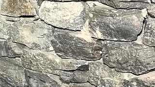 Hardcore With My Boss Alone At Home