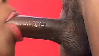 Miss Platinum Likes to Suck Black Cock