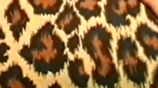 Surrounded by Pussies