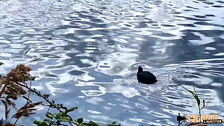 Stella loves getting her ass fucked