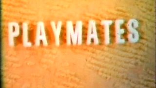 Amateur girlfriends licking in the kitchen