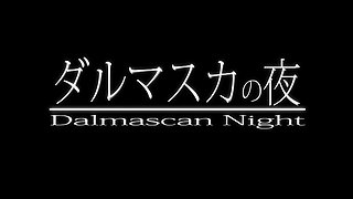 Dalmascan Night