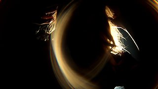 Deeper  Petite Blonde Della Craves BBC