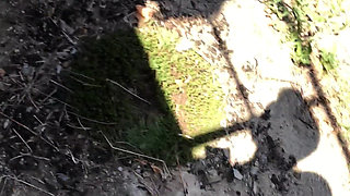 Life Porn Stories 13 - Part 6 Wanna Shop or Fuck?