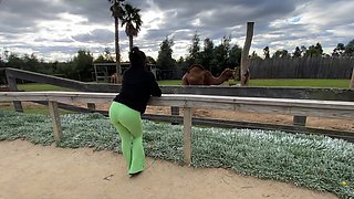 Girl takes a nice walk in the nature before getting fucked silly