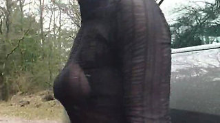 MILF Squirt Outdoor at Public Parking