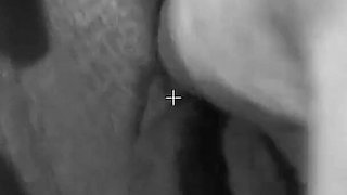 Group sex with Tammie Lee and Demi Daniels two sluts with shaved pussies are satisfied in the pussies by multiple cocks