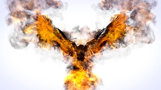 ASIANTGIRL   Soft Steps Forward