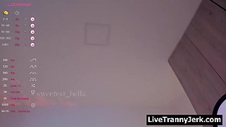 transsexual johnson live 1296