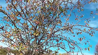 Perfect Body Tiny Petite Hana