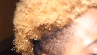 The Katt Chronicles Vol. 4