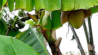 Dean Young & Master Peter