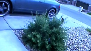 Horny blonde behind the scenes