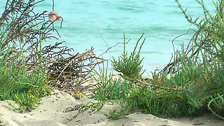 Watching on the beach as Isa has fun