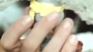 Milly D'abbraccio Fucks Roberta Cavalcante with a Strap on During a Vintage Orgy