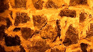 Kiss my shoes and take good care of my feet