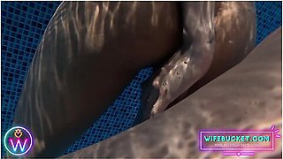 Amateur Milfs By Our Underwater Vacation Sex