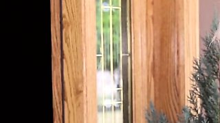 sexy blondie blows and fucks lucky stud's meatstick