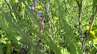 Desi MILF Ritu Outdoor Sex with Young Man in Field - Big Tits Village Romance XXX Video