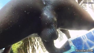 Transgirl Fuck-a-thon in the pool