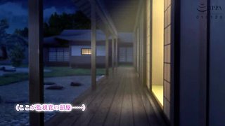 Hot Japanese Anime Hentai - Ninja Sex & Impregnation