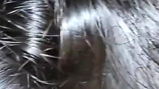 2cumshots Swallowed by My Neighbor Girl