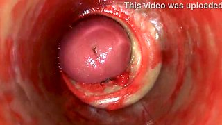 Lady Bottox Tight Pussy Creampie ASMR - Huge Cumshot Inside Deep Close Up