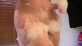 Tasty amateur porn solo eighteen years old bathes and soaps up