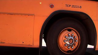 Bus Stop Girls - Lexi Belle(4K) - Lexi belle