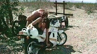 Hot Days Are Sex Days.