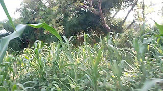 Panjabi Desi boy forest outdoor handjob